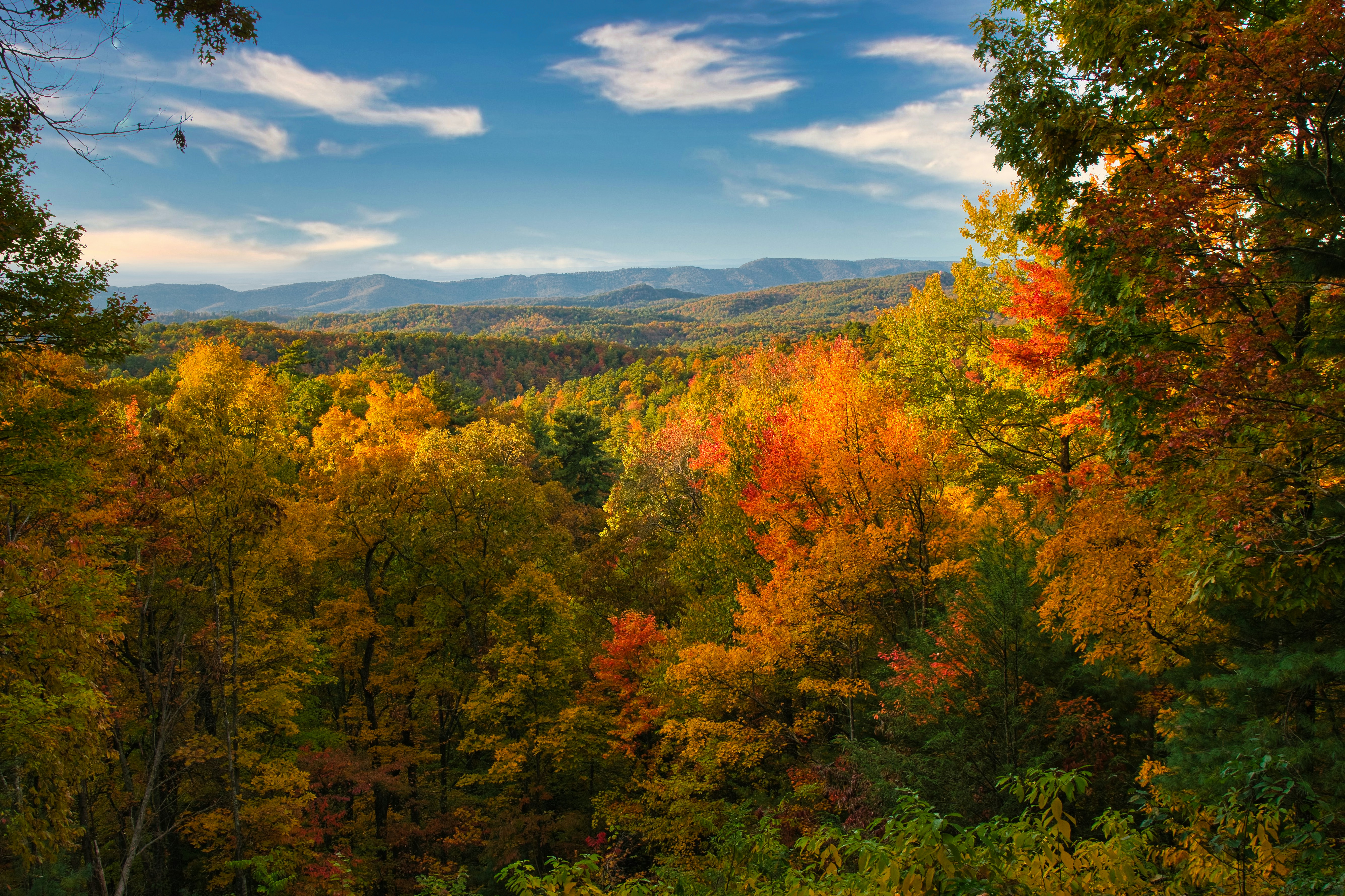 Autumn in TN